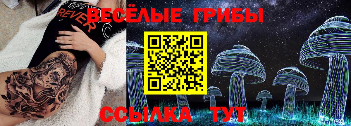 Белгород  цены   Вход с VPN  Галлюциногенные грибы Psilocybine cubensis 
