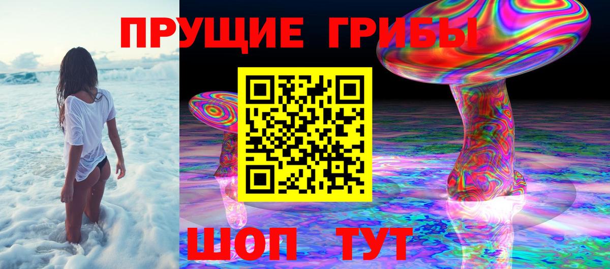 Галлюциногенные грибы GOLDEN TEACHER Белгород